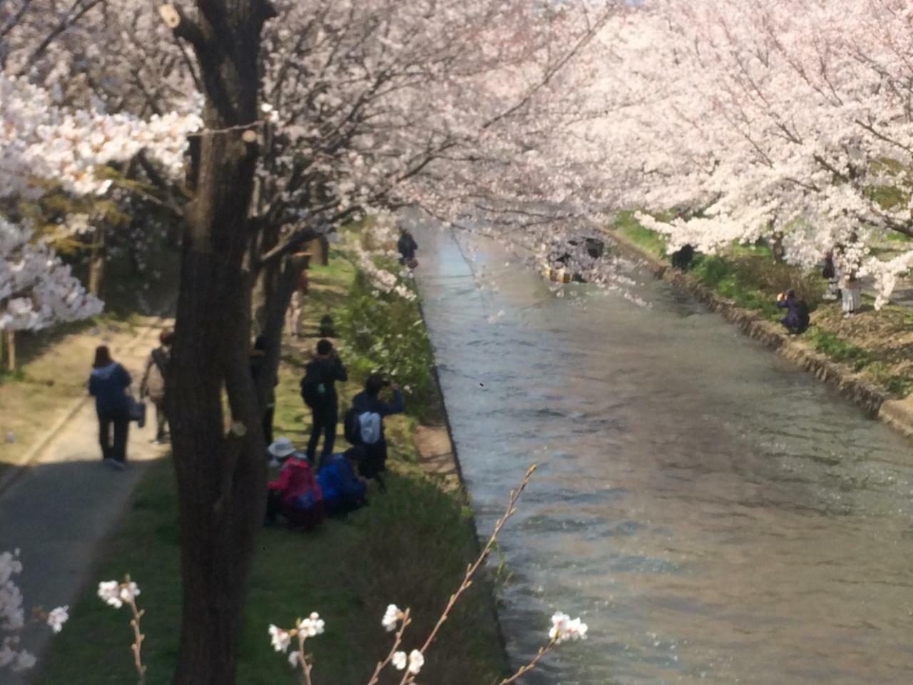 Suzume-an Casa vacanze Kyōto